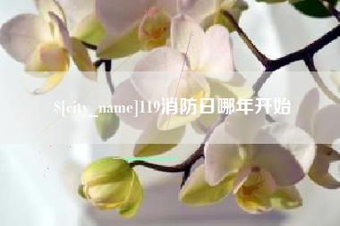 白城119消防日哪年开始