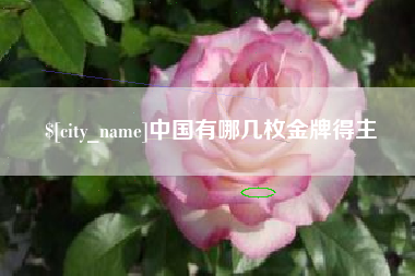 白城中国有哪几枚金牌得主