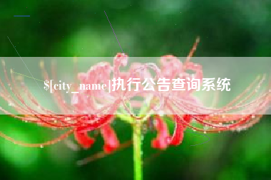 白城执行公告查询系统