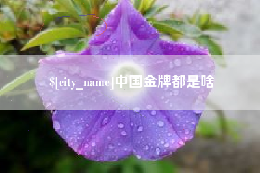 白城中国金牌都是啥