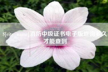 白城消防中级证书电子版查询多久才能查到