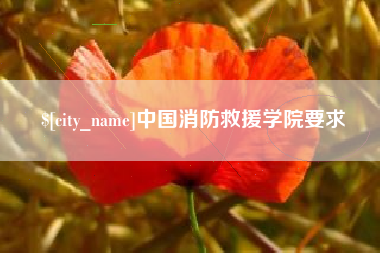 白城中国消防救援学院要求