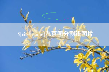 白城九宫图分割线图片