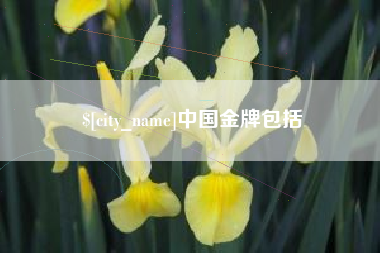 白城中国金牌包括