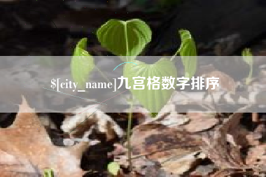 白城九宫格数字排序