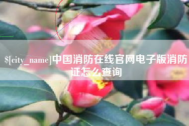 白城中国消防在线官网电子版消防证怎么查询