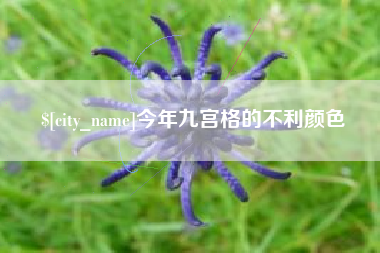 白城今年九宫格的不利颜色