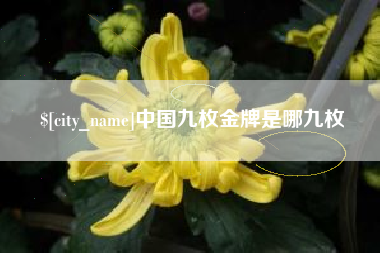 白城中国九枚金牌是哪九枚