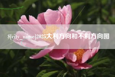 白城2025大利方向和不利方向图