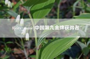 白城中国第九金牌获得者