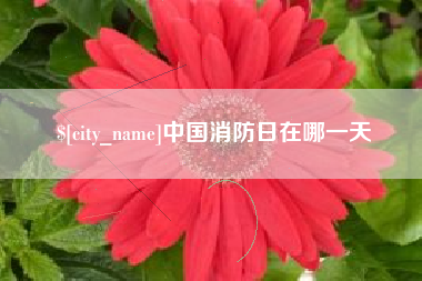 白城中国消防日在哪一天