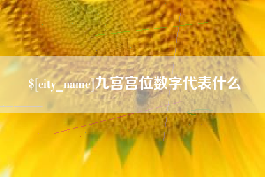 白城九宫宫位数字代表什么