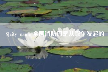 白城全国消防日是从哪年发起的