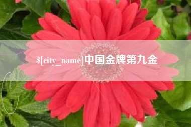 白城中国金牌第九金