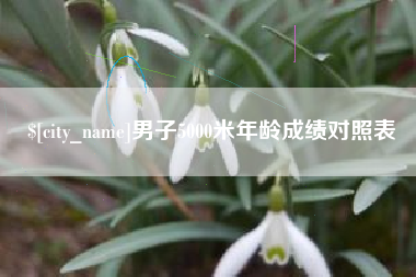 白城男子5000米年龄成绩对照表