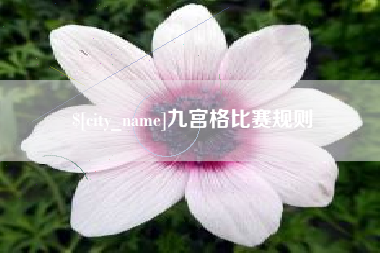 白城九宫格比赛规则