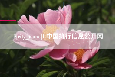 白城1.中国执行信息公开网