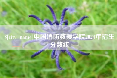 白城中国消防救援学院2024年招生分数线