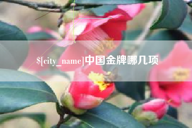 白城中国金牌哪几项
