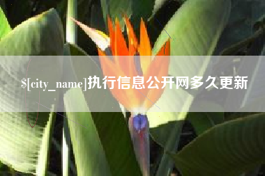 白城执行信息公开网多久更新