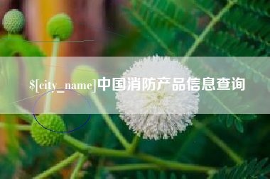 白城中国消防产品信息查询