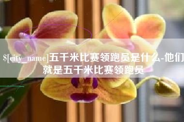 白城五千米比赛领跑员是什么-他们就是五千米比赛领跑员