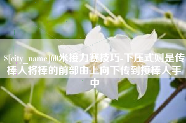 白城60米接力赛技巧-下压式则是传棒人将棒的前部由上向下传到接棒人手中