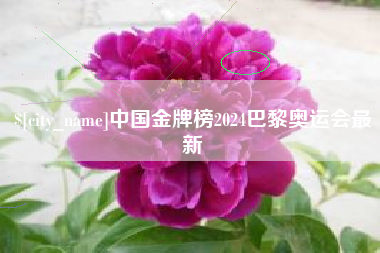 白城中国金牌榜2024巴黎奥运会最新