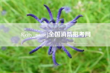 白城全国消防招考网