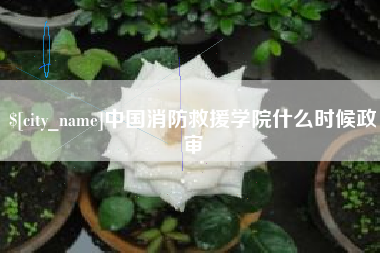 白城中国消防救援学院什么时候政审