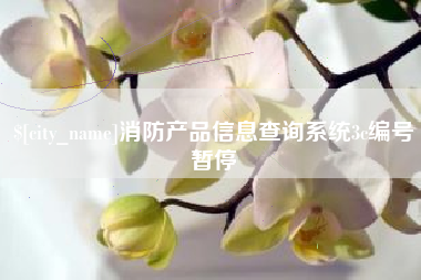 白城消防产品信息查询系统3c编号暂停
