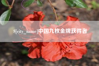白城中国九枚金牌获得者