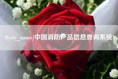 白城中国消防产品信息查询系统1