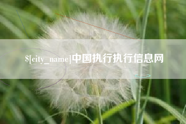 白城中国执行执行信息网