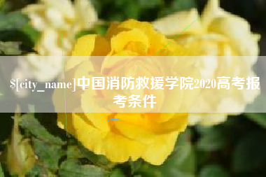 白城中国消防救援学院2020高考报考条件