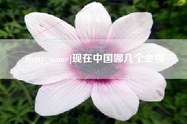 白城现在中国哪几个金牌