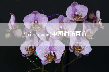 白城中国消防官方