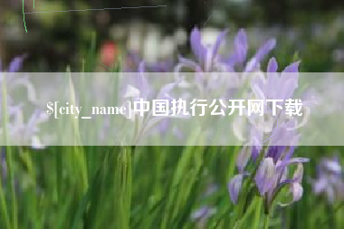 白城中国执行公开网下载