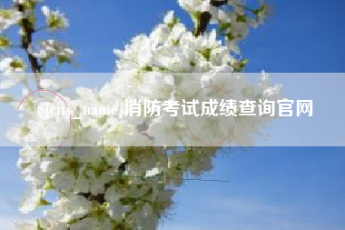 白城消防考试成绩查询官网