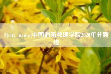 白城中国消防救援学院2020年分数线