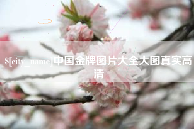 白城中国金牌图片大全大图真实高清