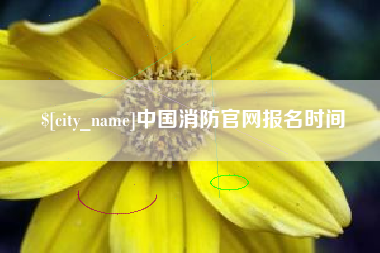 白城中国消防官网报名时间