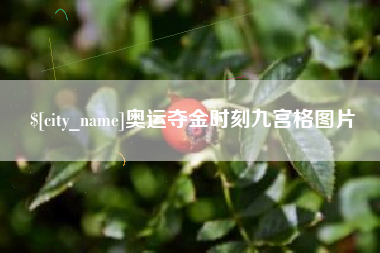 白城奥运夺金时刻九宫格图片
