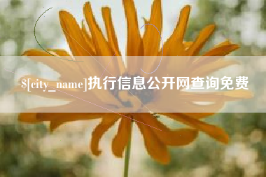 白城执行信息公开网查询免费